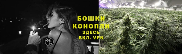 герыч Дубна