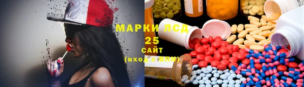 стаф Магас