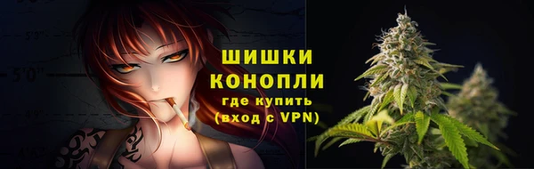 стаф Магадан