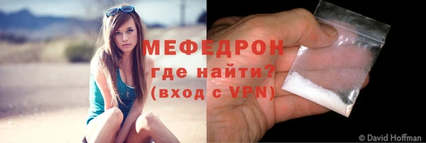 стаф Магас