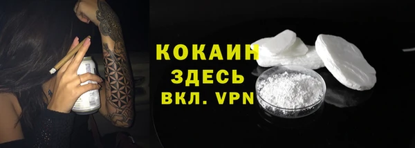 стаф Магас