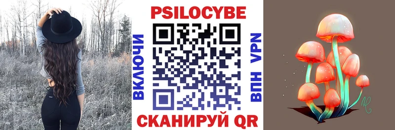 Галлюциногенные грибы Psilocybine cubensis  Лодейное Поле 